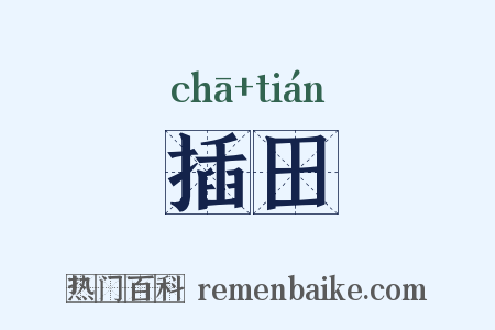 插田是什么意思的图片